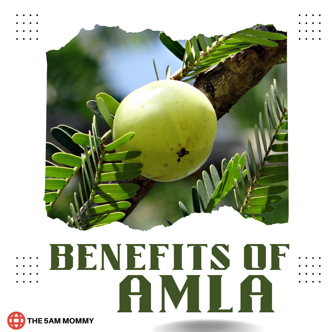 Benefits of Amla - 5AM MOMMY